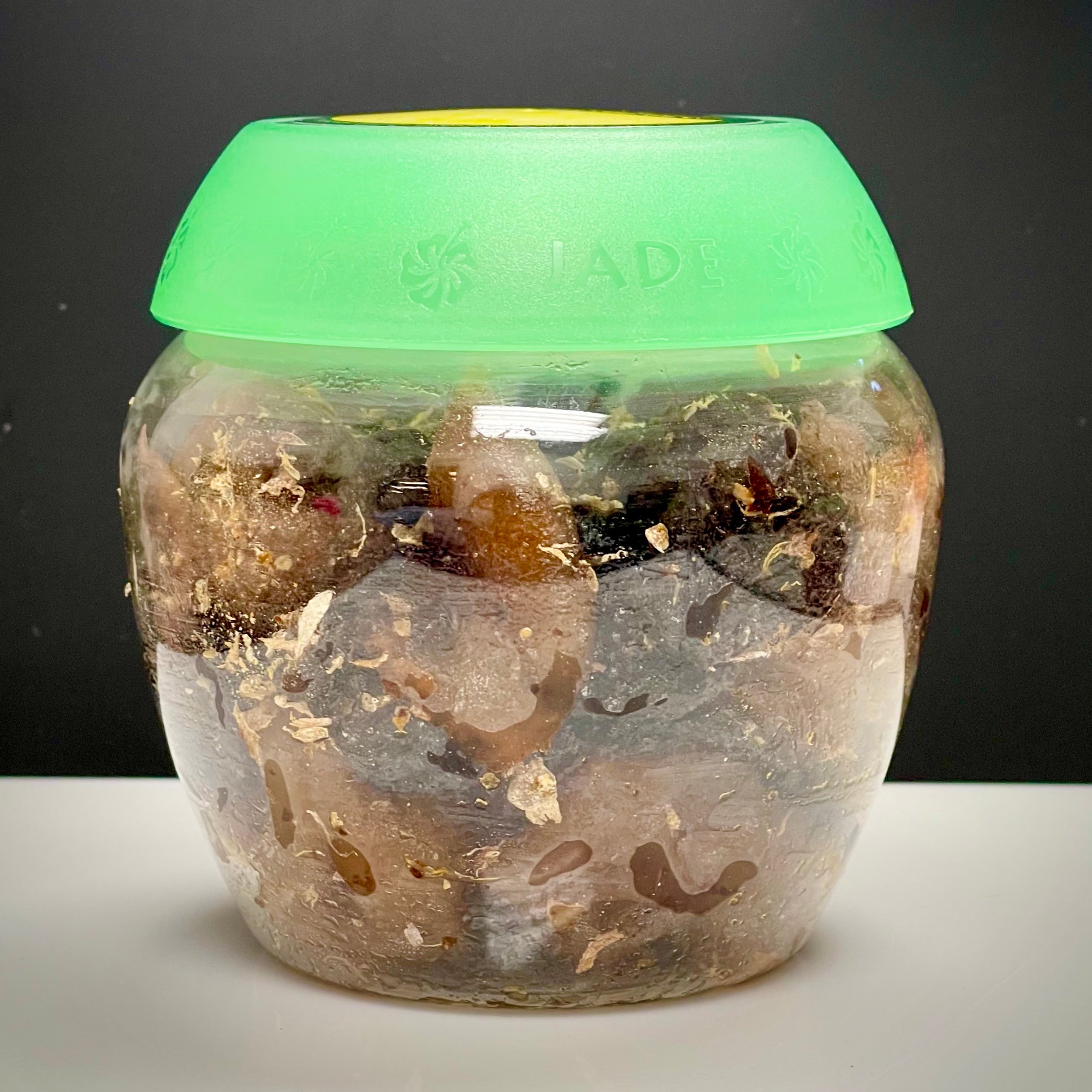 Seedless Rock Salt Lemon Lemon
