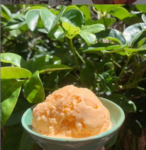 Mango Ice Cream